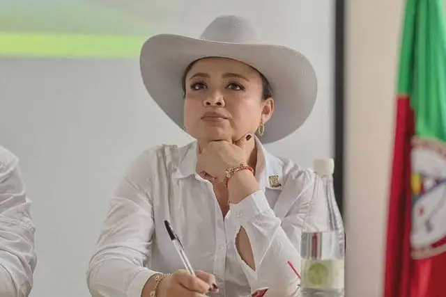 Consejo de Estado admite demanda sobre el nombramiento de Lina Garrido en esa entidad,
